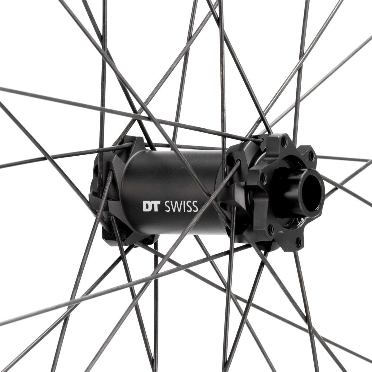 DT Swiss H 1900 SPLINE Vorderrad 29" | 30 mm Innenbreite | 15x110 mm Boost | 6 - Loch IS - RAAAD.de