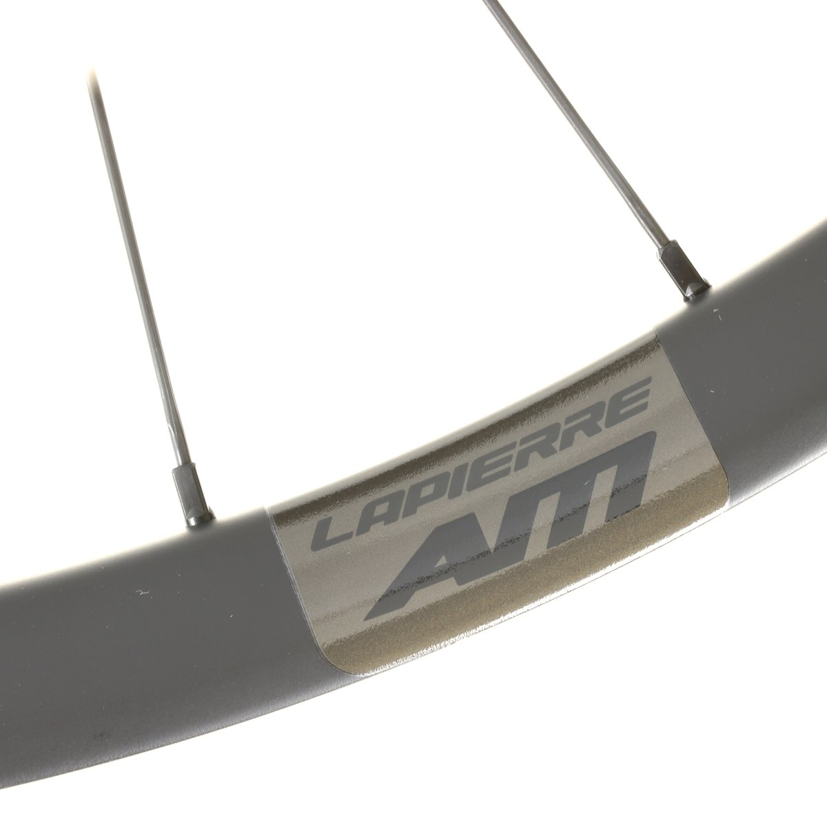 Lapierre AM Carbon Hinterrad 29 Zoll Boost 12x148mm Microspline 6 - Loch - RAAAD.de