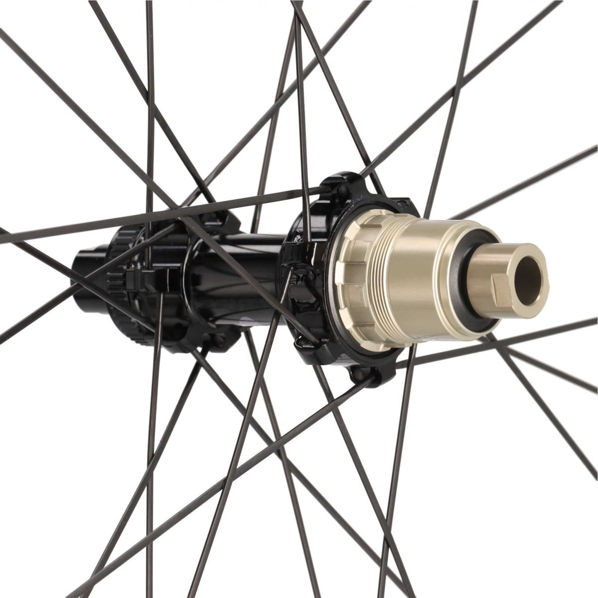 ZZYZX Carbon Laufradsatz AR56 Disc | 28" Aero | 23 mm Innenbreite | SRAM XDR Freilauf | Schwarz - RAAAD.de