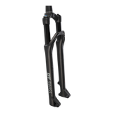 DT Swiss F232 One Federgabel 29" 100 mm Boost Remote Lockout - RAAAD.de