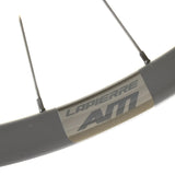 Lapierre AM Carbon Hinterrad 29 Zoll Boost 12x148mm Microspline 6 - Loch - RAAAD.de