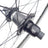 ZIPP Hinterrad Carbon 858 NSW Disc Tubeless SRAM XDR - RAAAD.de